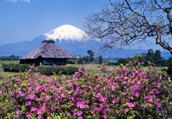 茅葺屋根と富士山