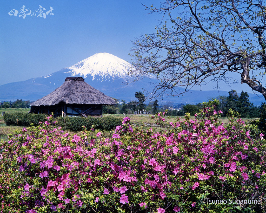 茅葺屋根と富士山