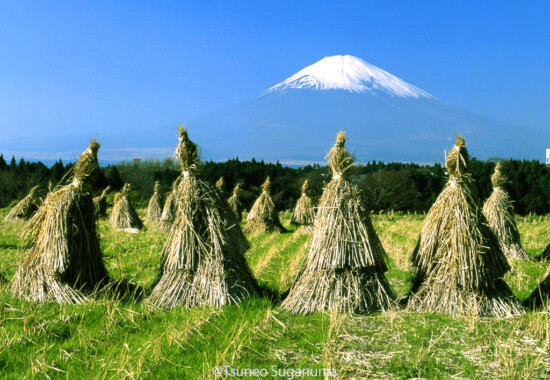 わらぼっちと富士山