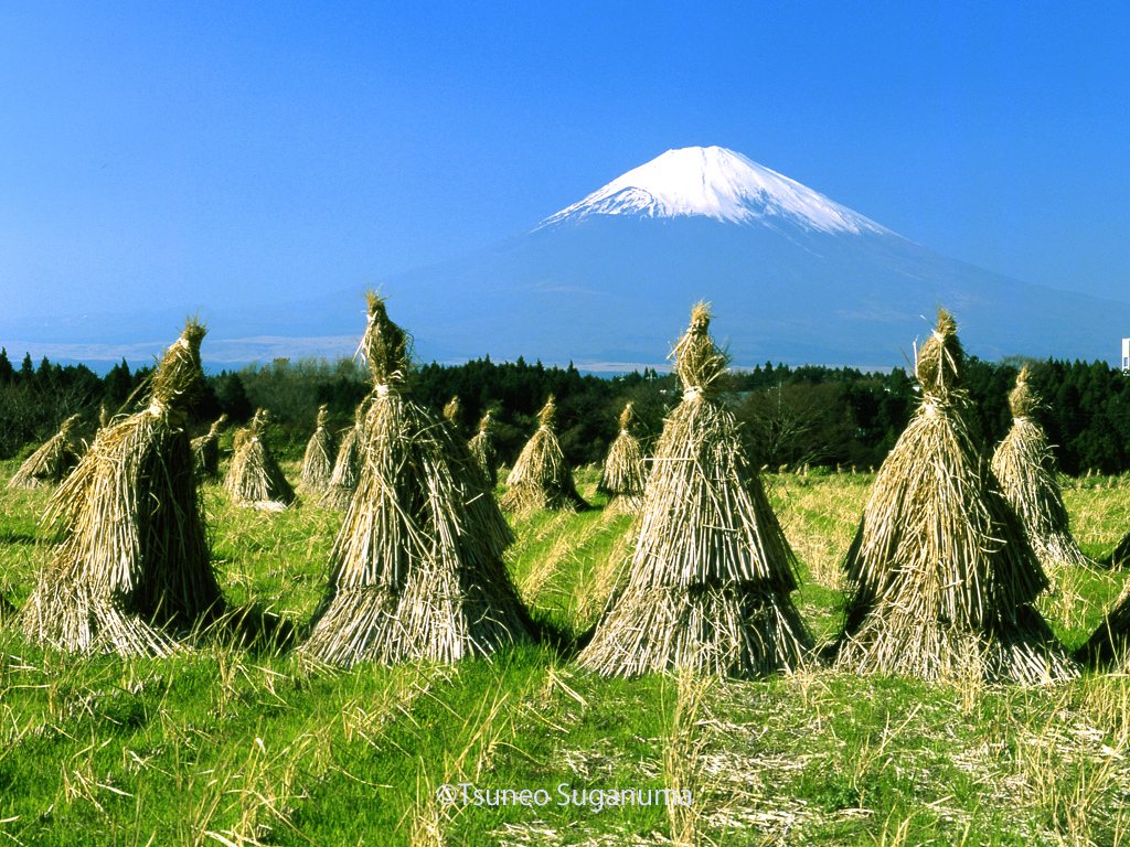 わらぼっちと富士山