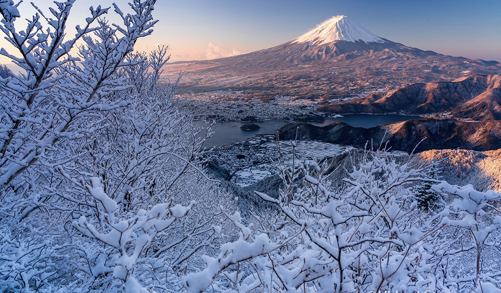 春の雪持